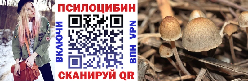Псилоцибиновые грибы ЛСД  закладки  ОМГ ОМГ ссылки  Пыть-Ях 